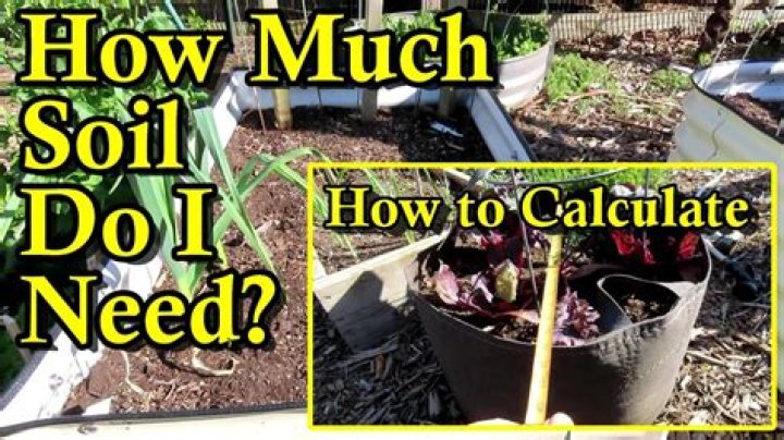 What soil do I need to repot my lemon tree?