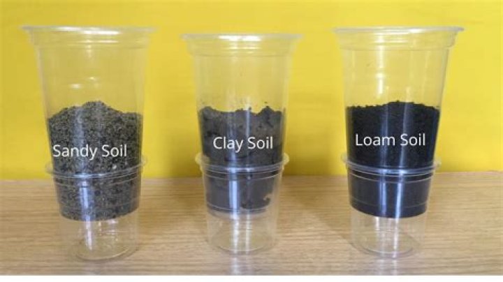 What soil does not absorb water well?