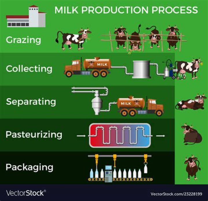 What state leads the US in the production of milk?