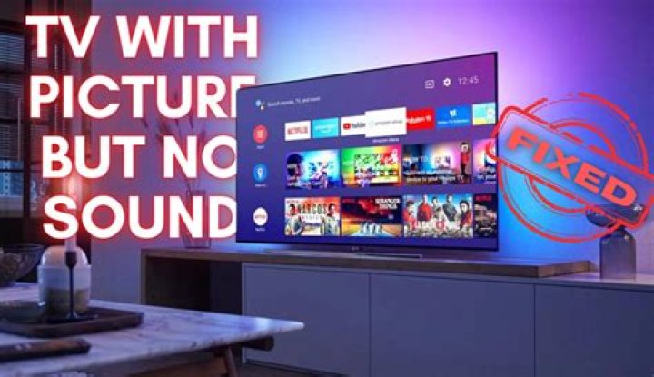 What to do when TV has no picture but has sound?