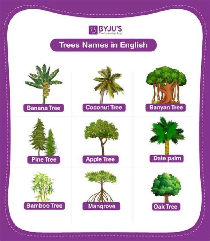 What tree species mean?
