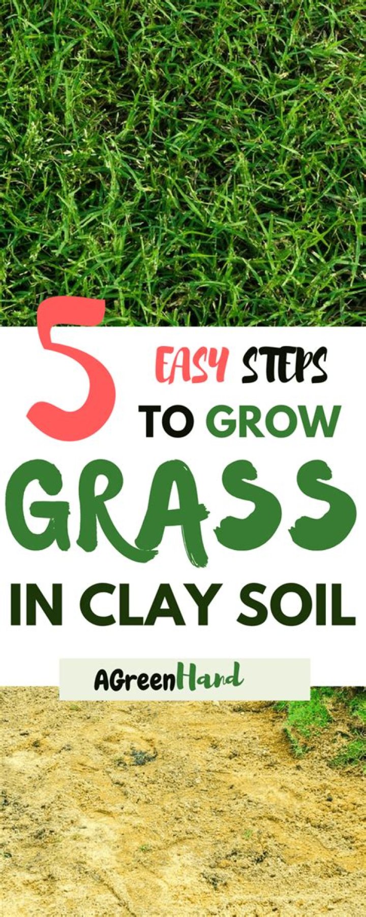 What type of grass grows best in clay soil?