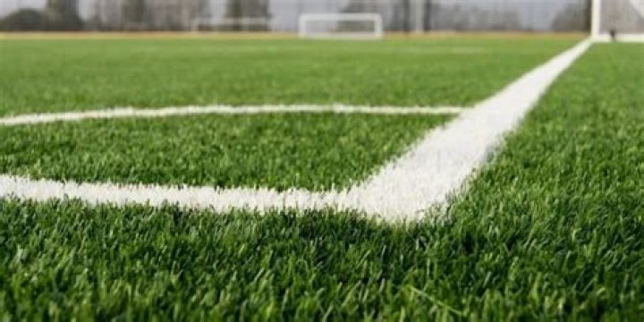 What type of grass is used on sports fields?