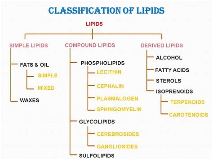 What type of lipids are in ice cream?