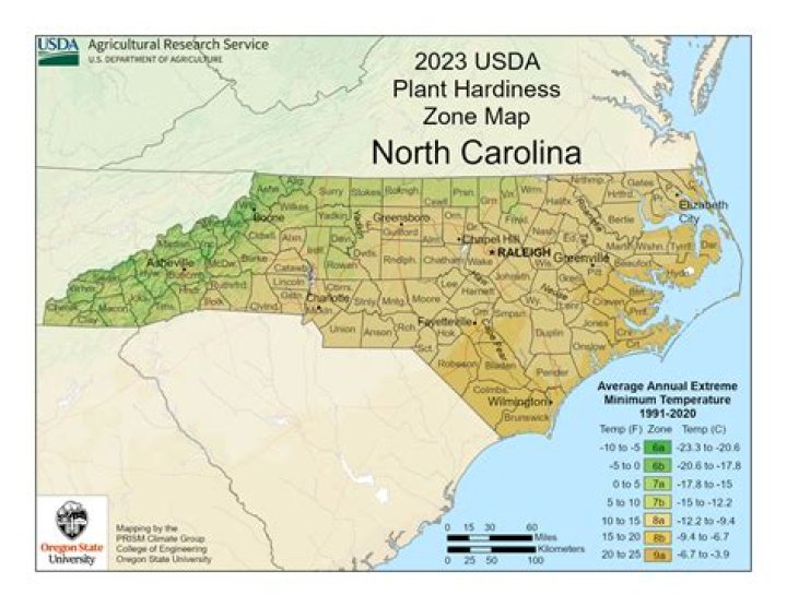 What USDA zone is North Carolina in?