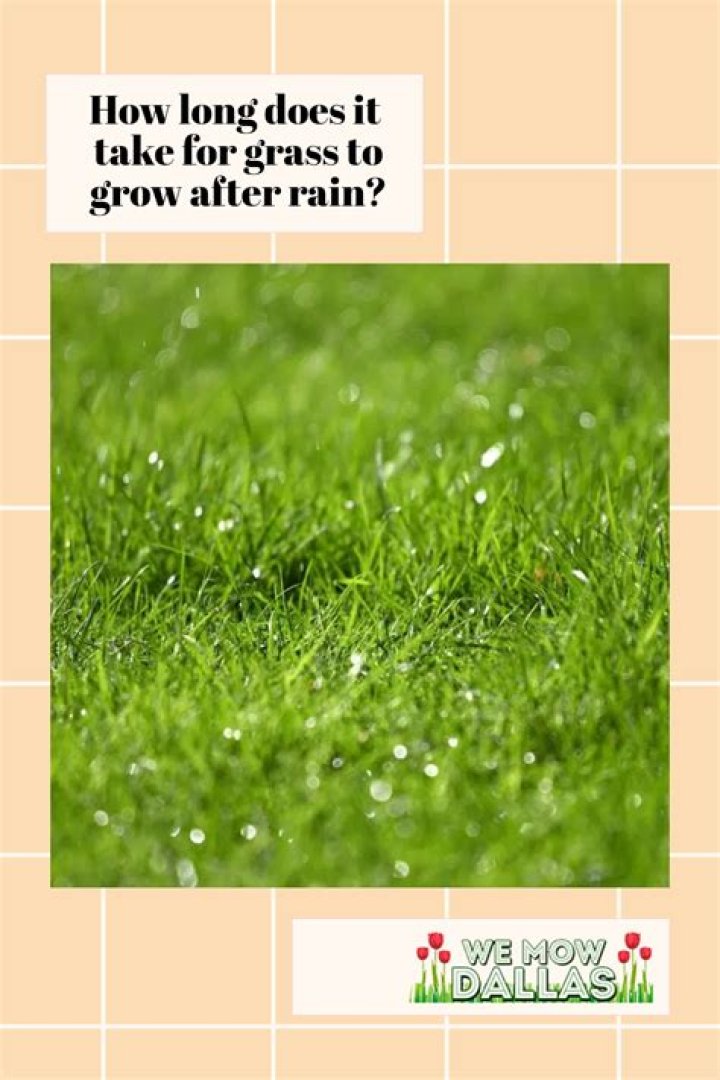 What weather makes grass grow?