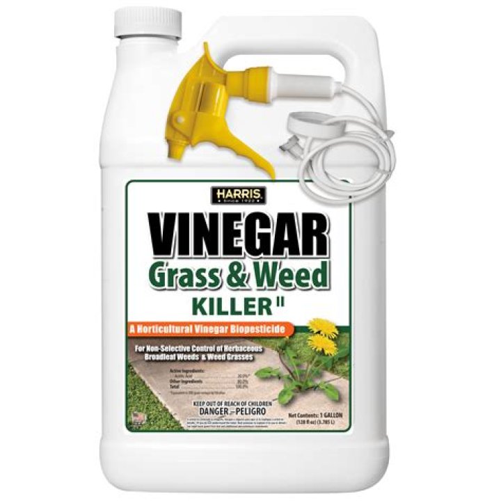 What weed killer sterilizes the ground?