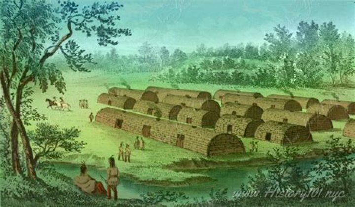 What were the Lenape homes like?