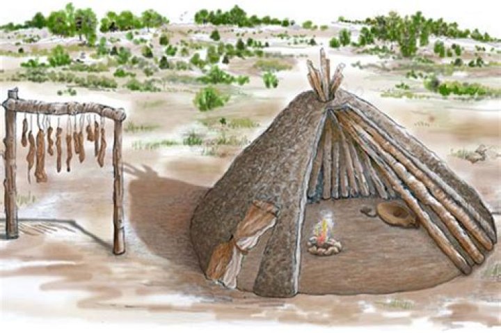 What were the Native American houses made of?