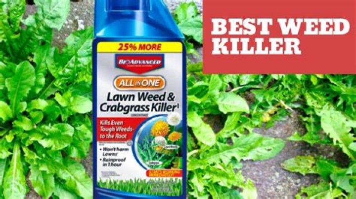 What will kill grass and weeds but not trees?