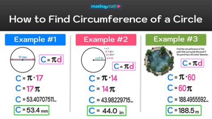 What would the circumference of a 50 year old tree be?