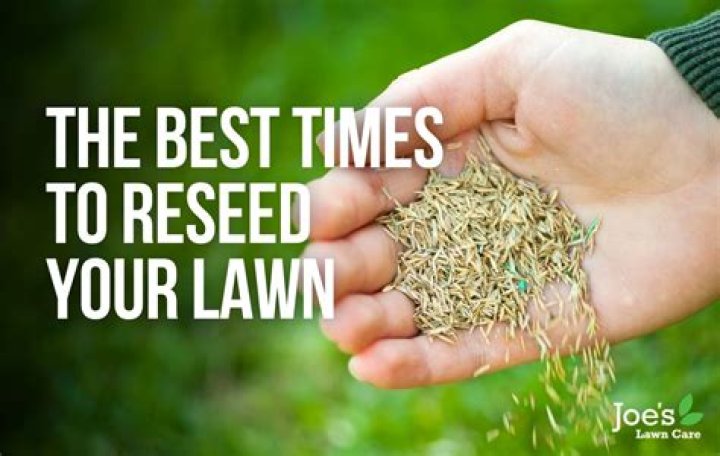 When is the best time to start levelling your lawn?