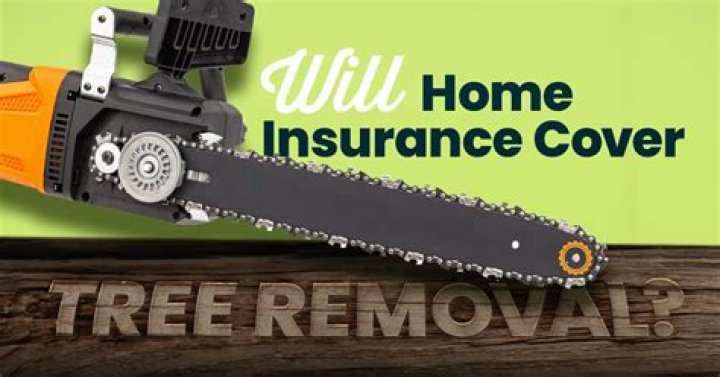When is tree removal covered by homeowners insurance?
