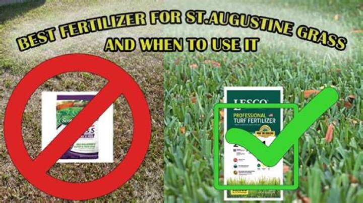 When should I fertilize St Augustine in the South?