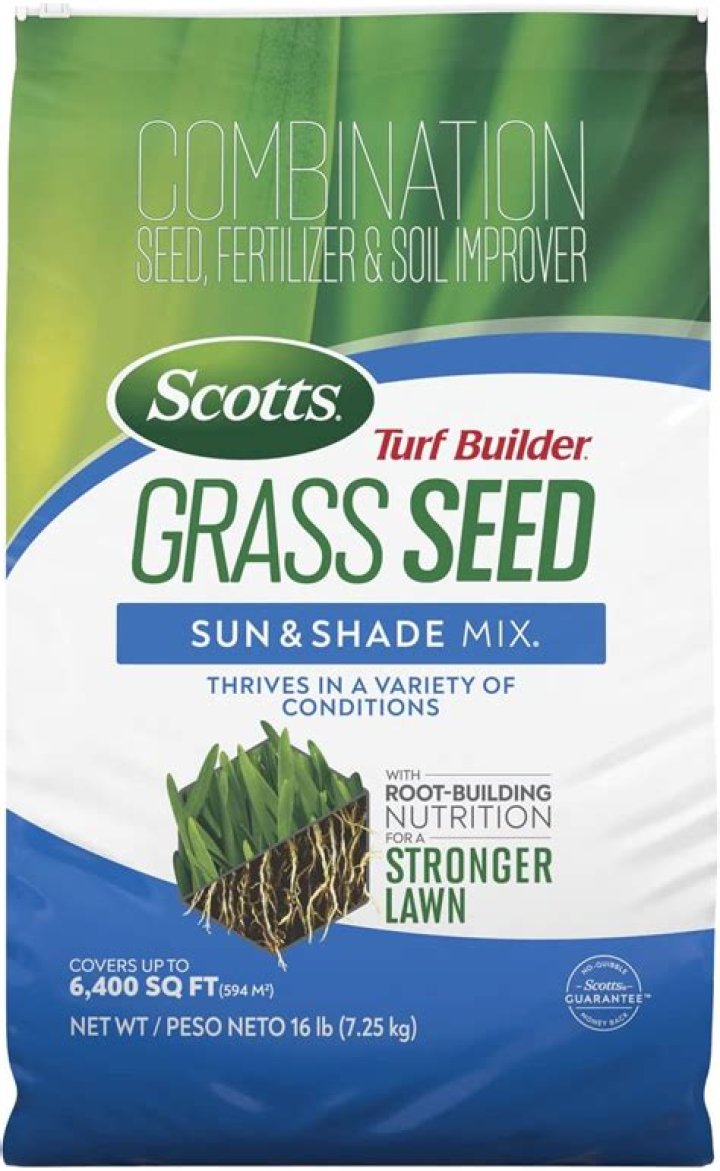 When should I put grass seed down in Texas?
