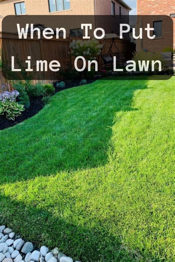When should you not put lime on your lawn?