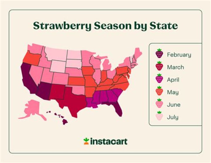 When to ship strawberries to the United States?