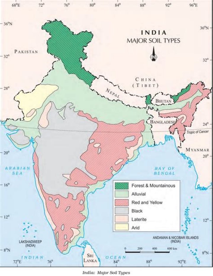 Where are acidic soils found?