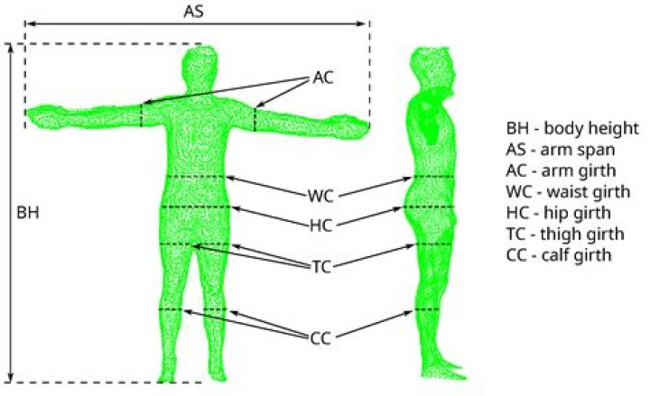 Where can I find the anthropometric reference data?