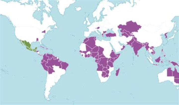Where does the edible Mediterranean plant come from?