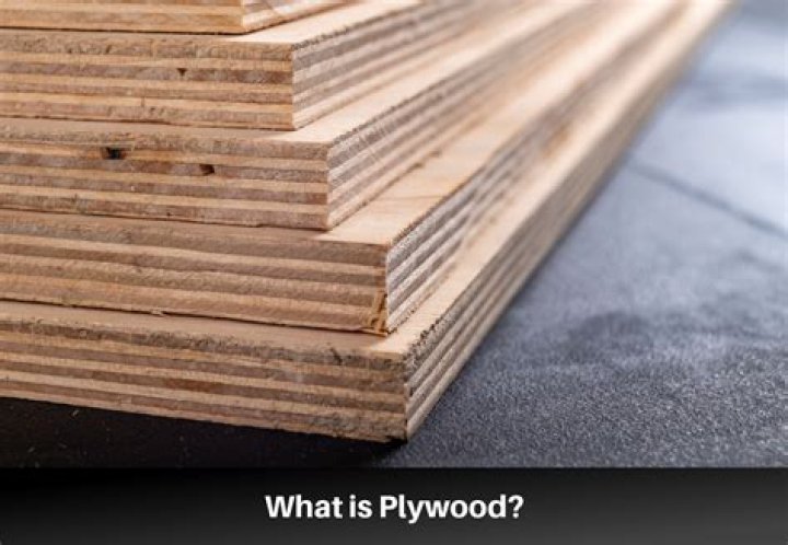 Where does the material for plywood come from?