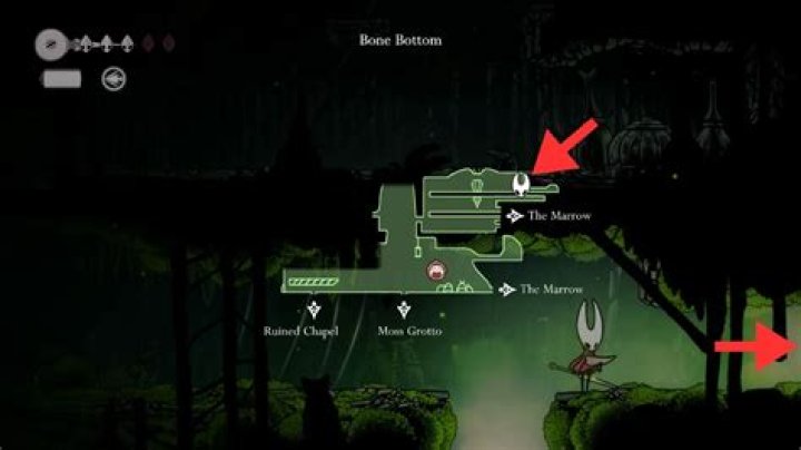 Where does the moss grow on a tree?