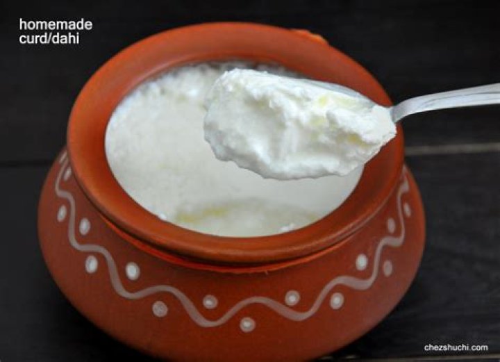 Where does the word curd come from in India?