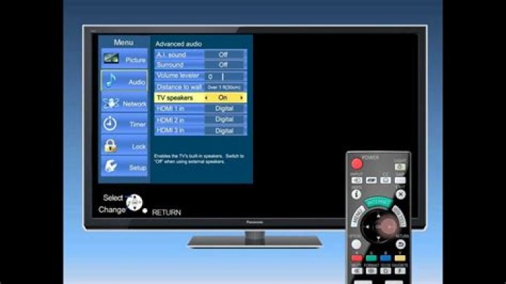 Where is audio out on Panasonic Viera?