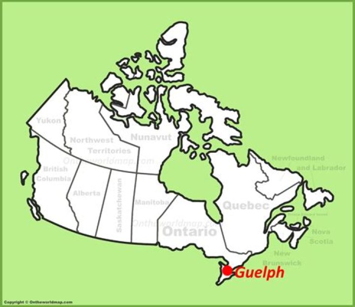 Where is the city of Guelph in Canada?