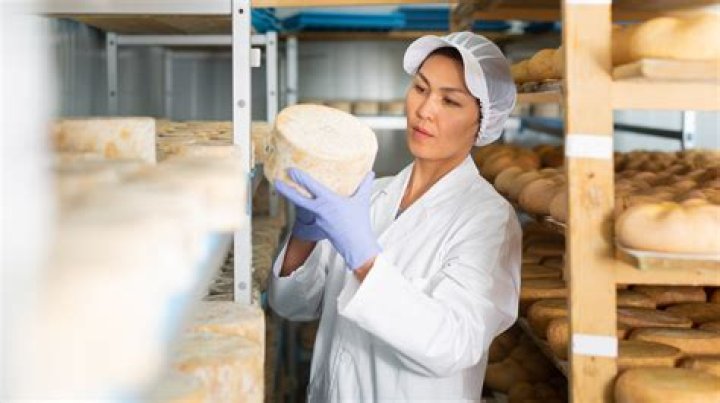 Where is the most cheese produced in the US?