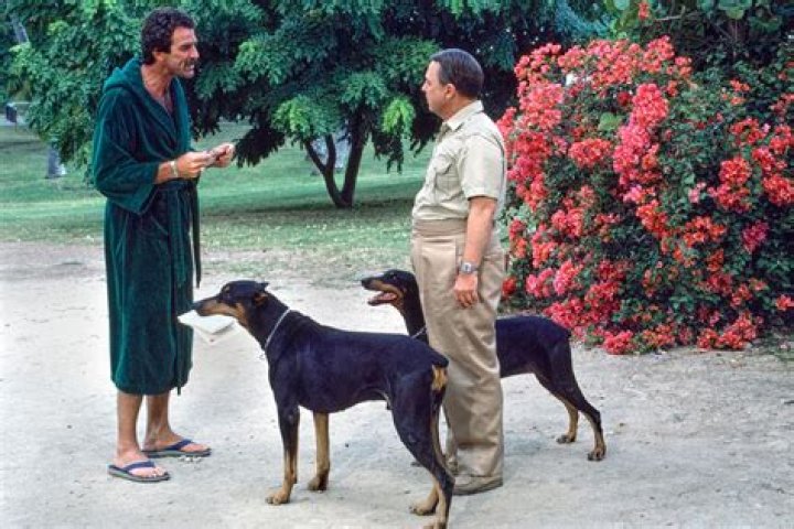 Where was the Magnum ad filmed?