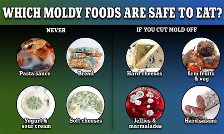 Which cheese is moldy?