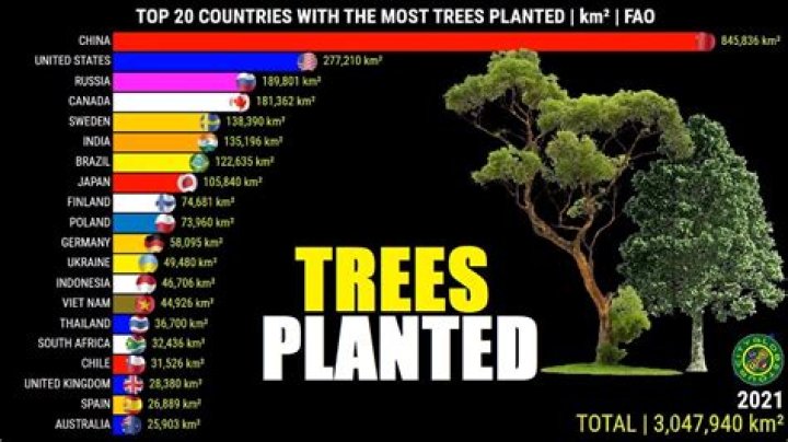 Which company has planted the most trees?