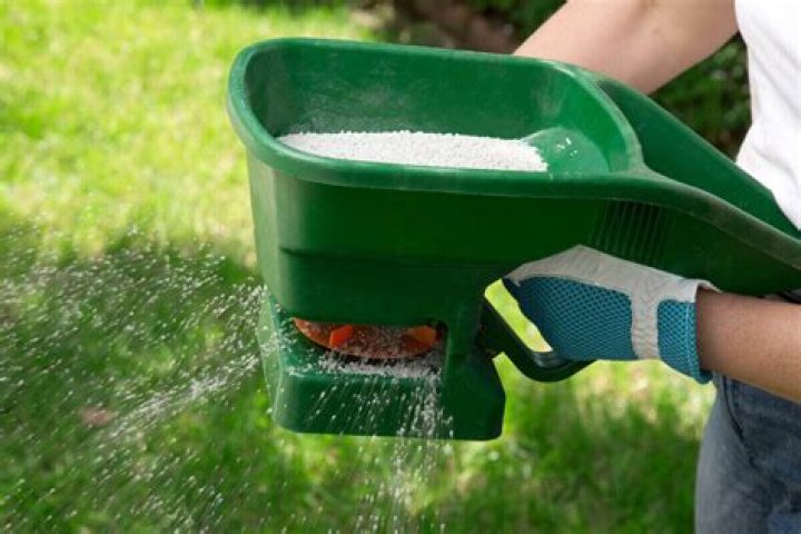 Which fertilizer is best for Bermuda grass?