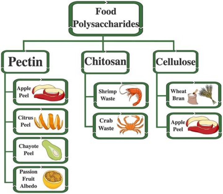 Which foods contain polysaccharides?