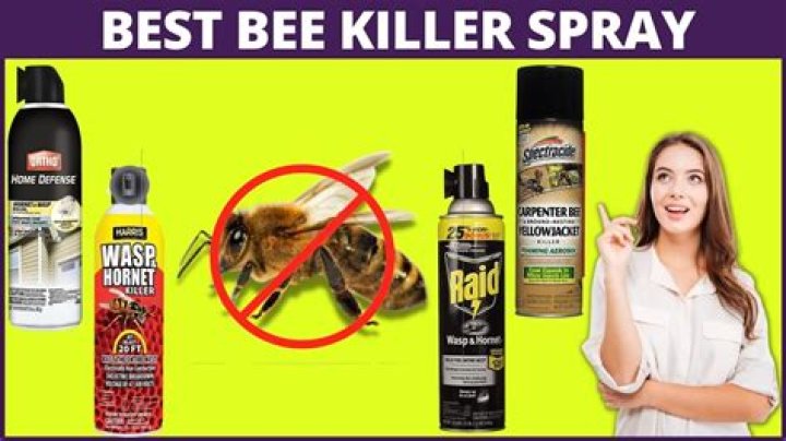 Which is the best bee killer on the market?