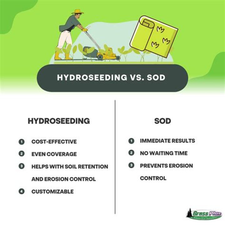 Which sod is best?