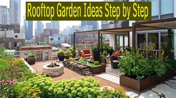Which type of plants are suitable for rooftop garden?