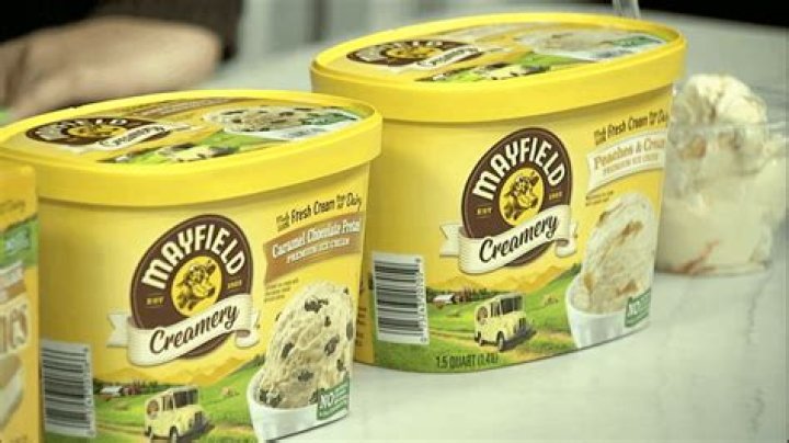 Who bought out Mayfield ice cream?