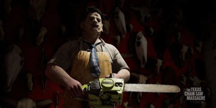 Who bought out Poulan chainsaw?
