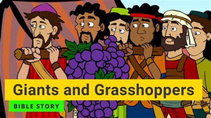 Who eat grasshoppers in the bible?
