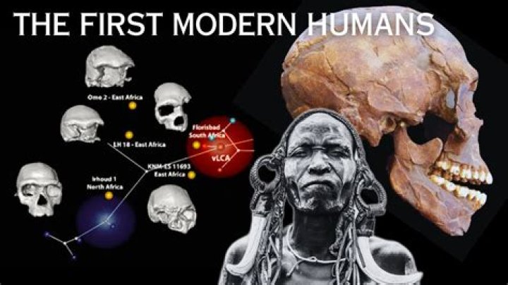 Who first discovered clothes?