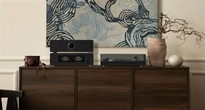 Who owns Onkyo USA?