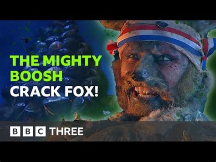 Who was the Crack Fox in the Mighty Boosh?