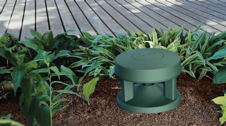 Why are Bose FreeSpace 51 outdoor speakers so good?