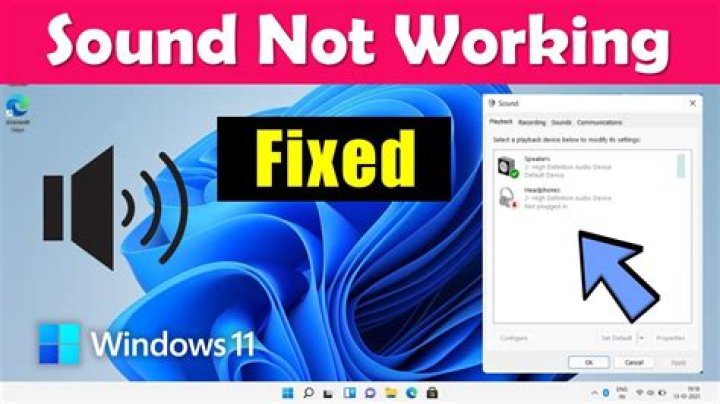 Why audio is suddenly stop working?
