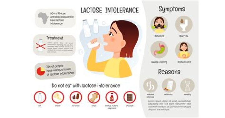 Why can people with lactose intolerance still eat yogurt?