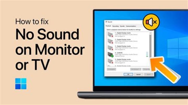 Why do I have no sound on my monitor?