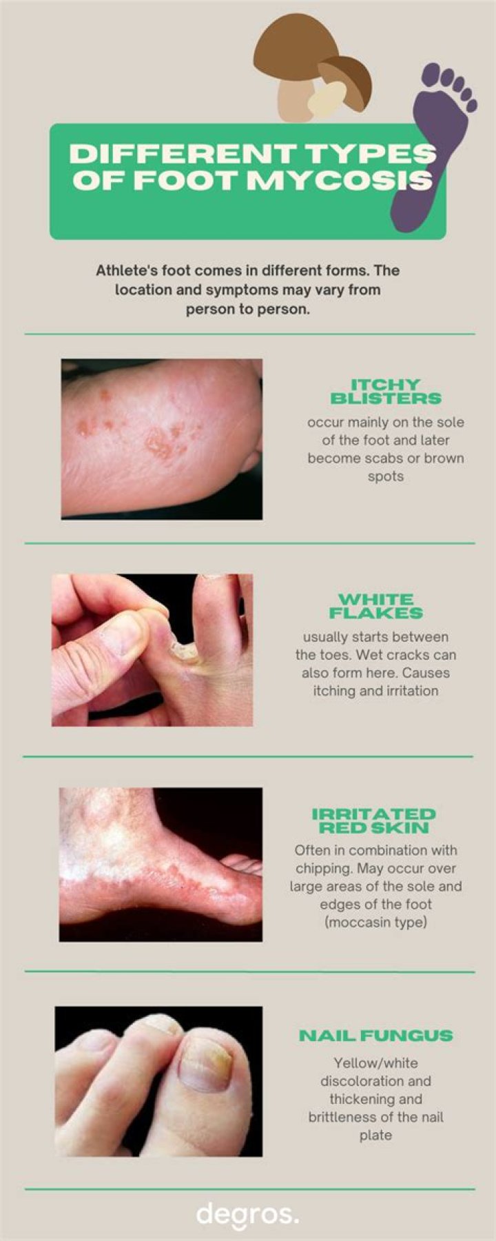 Why do I keep getting new spots of poison ivy?