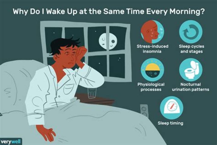 Why do I wake up in the morning and go to sleep at night?